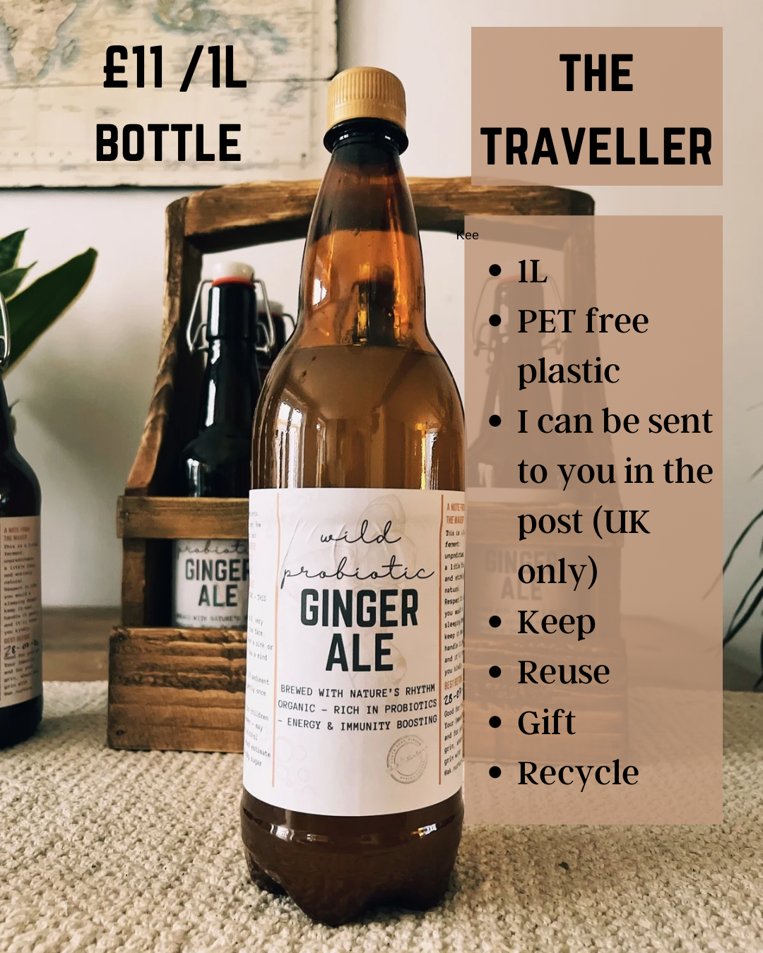 Wild Probiotic Ginger Ale | Pre-order only