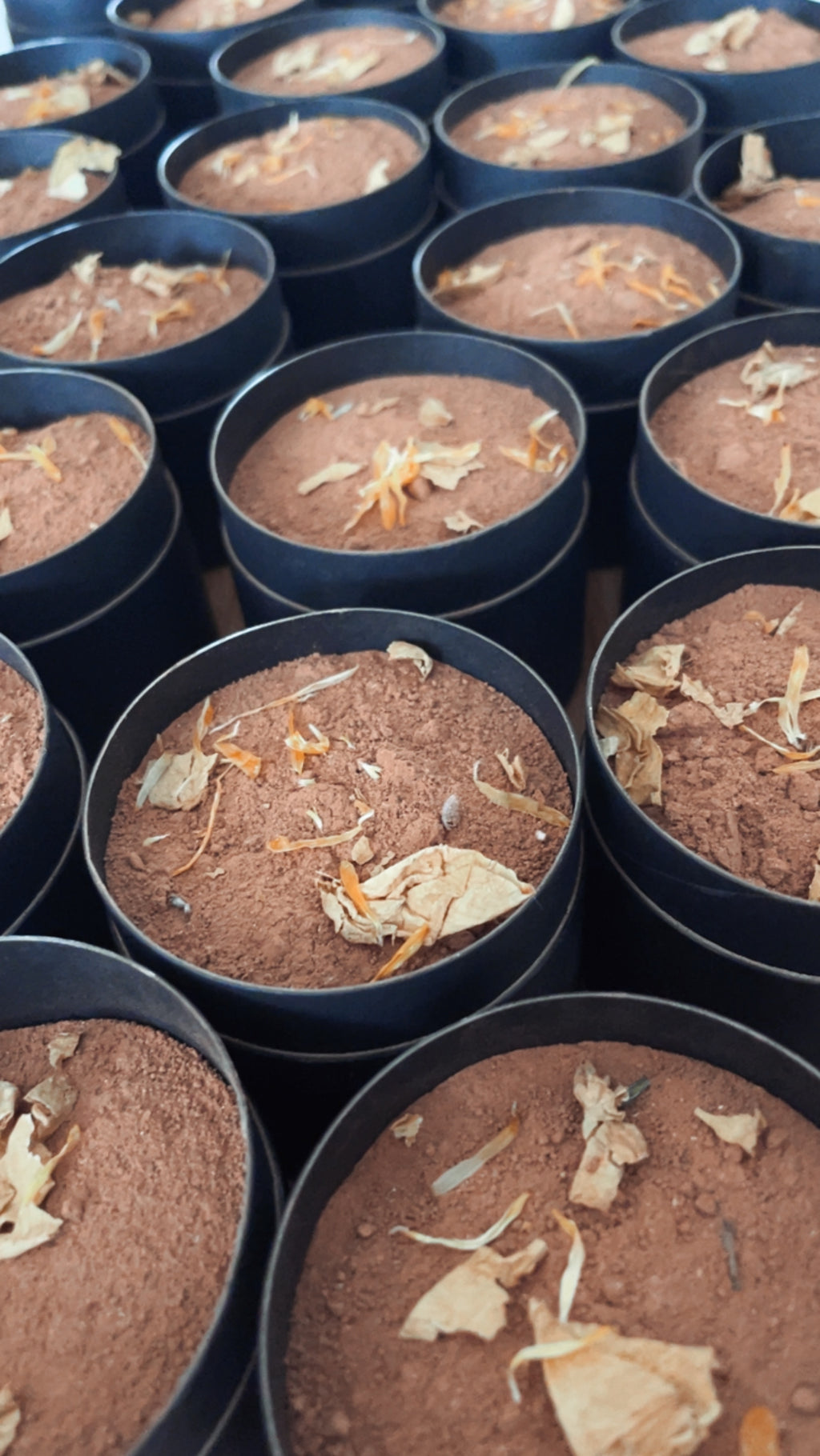 Earthwise Cacao - limited edition