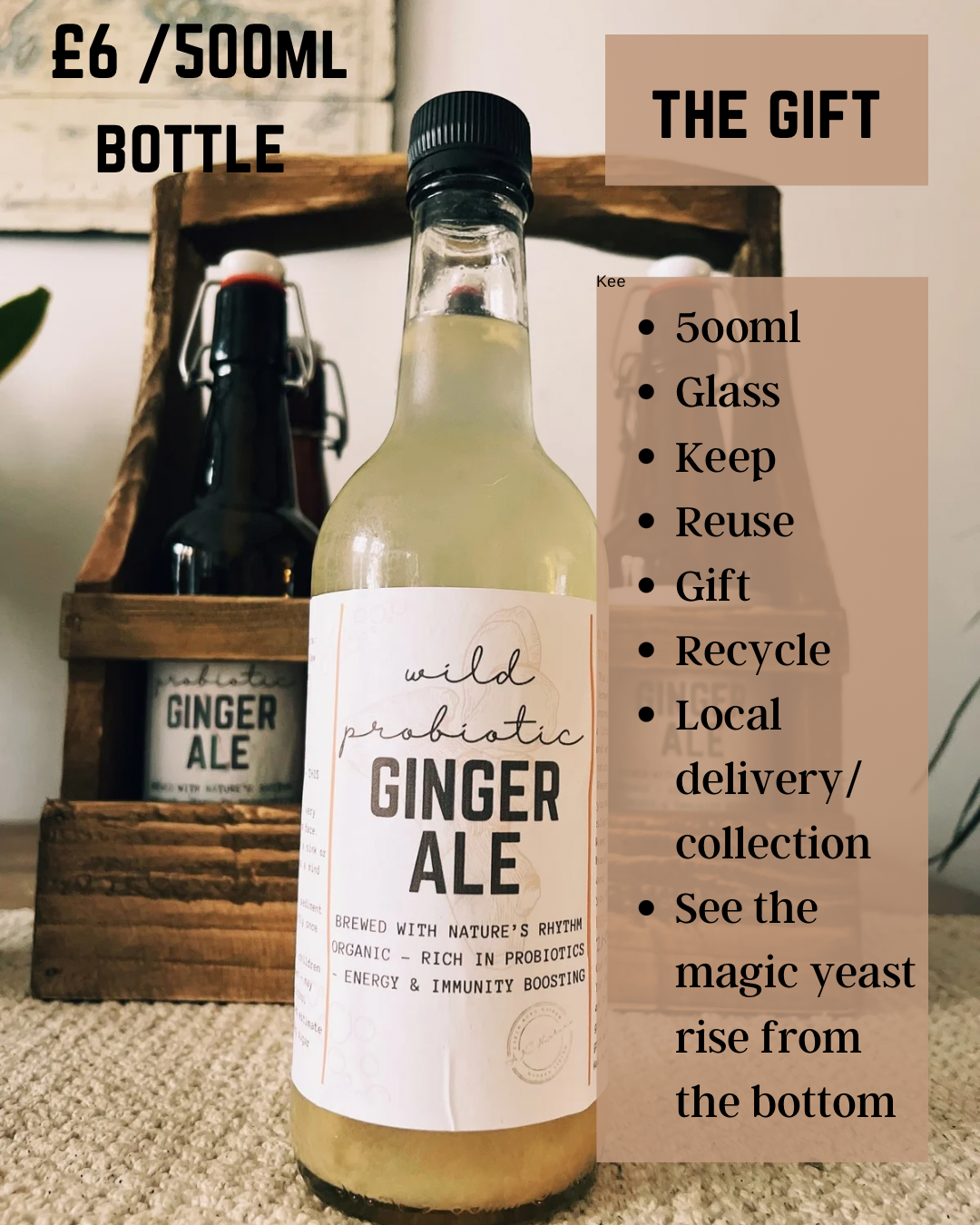 Wild Probiotic Ginger Ale | Pre-order only