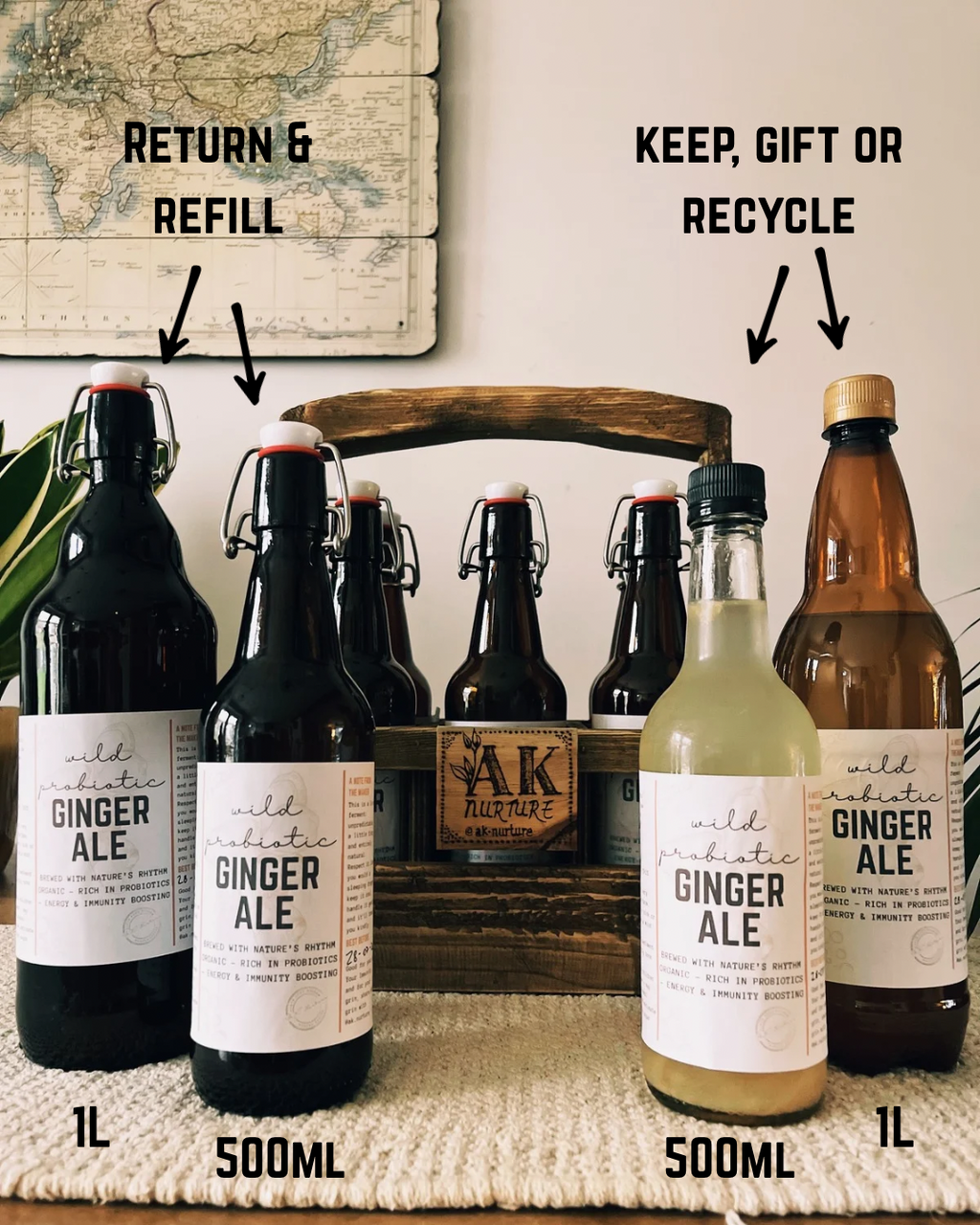 Wild Probiotic Ginger Ale | Pre-order only