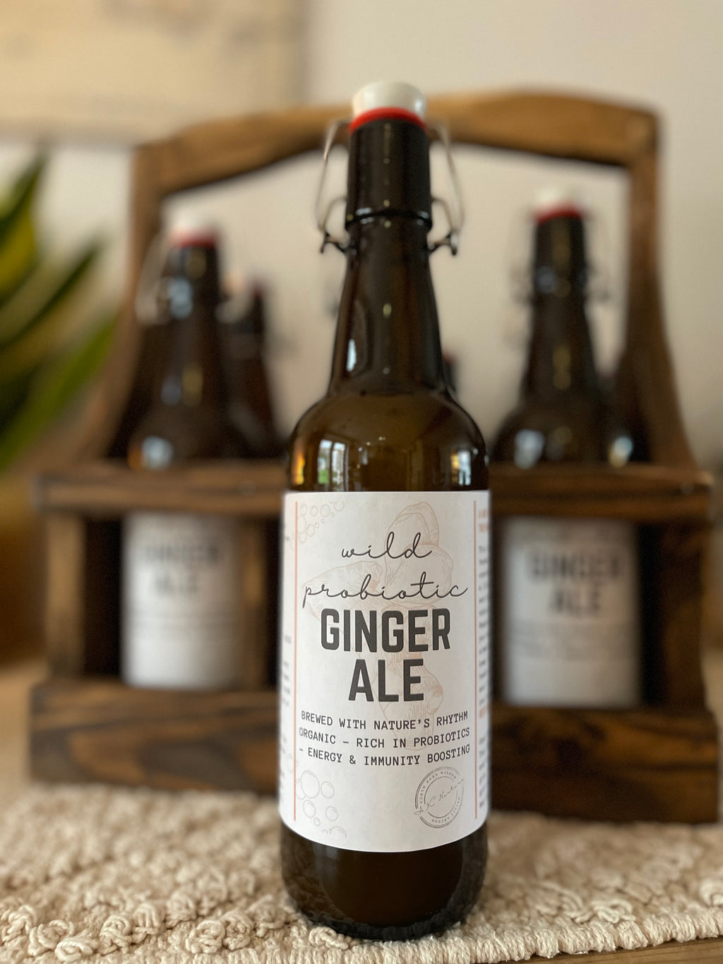 Wild Probiotic Ginger Ale | Pre-order only