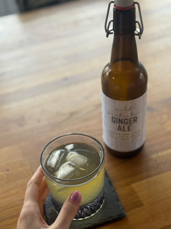 Wild Probiotic Ginger Ale | Pre-order only
